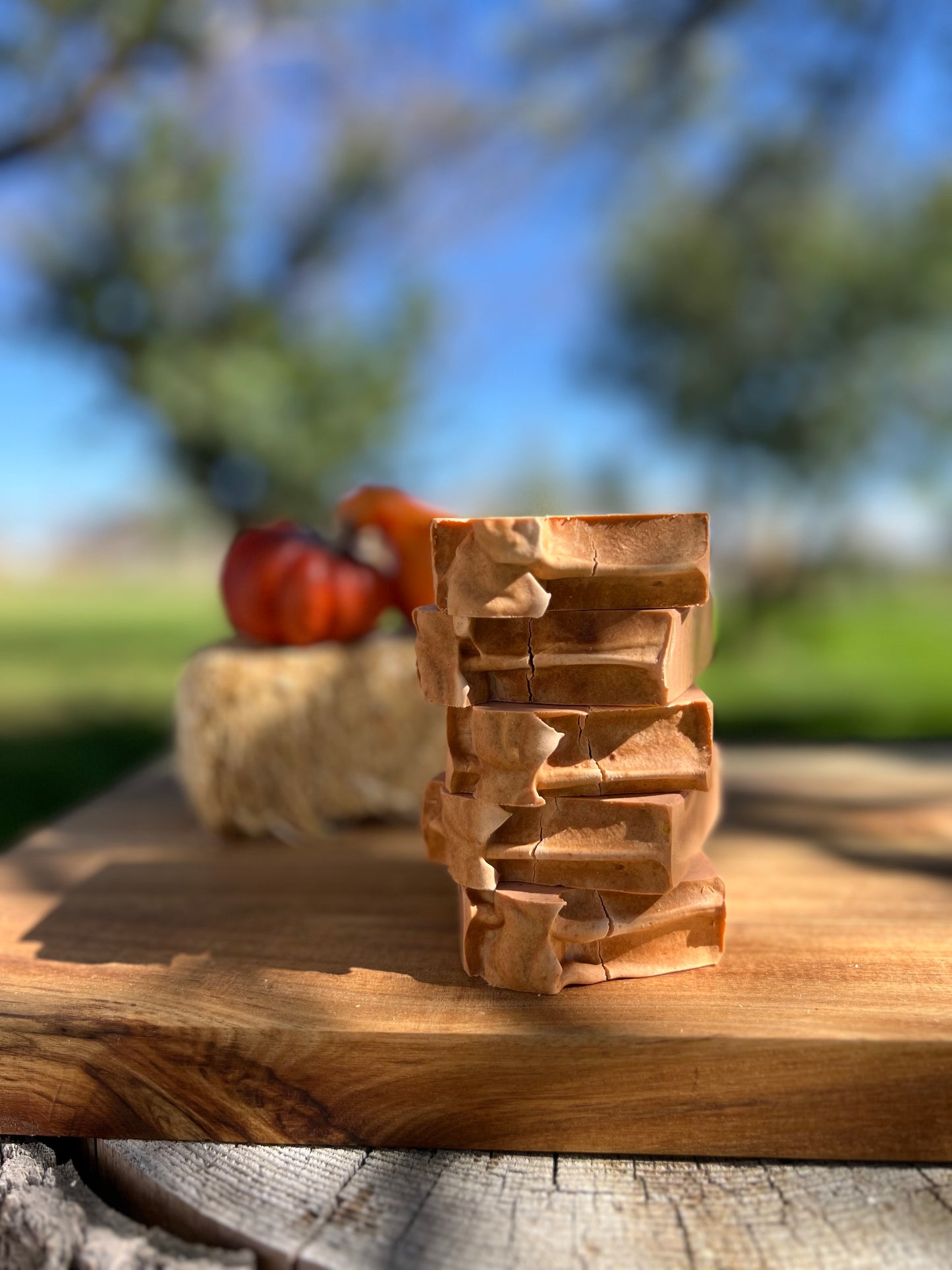 Pumpkin Patch Soap