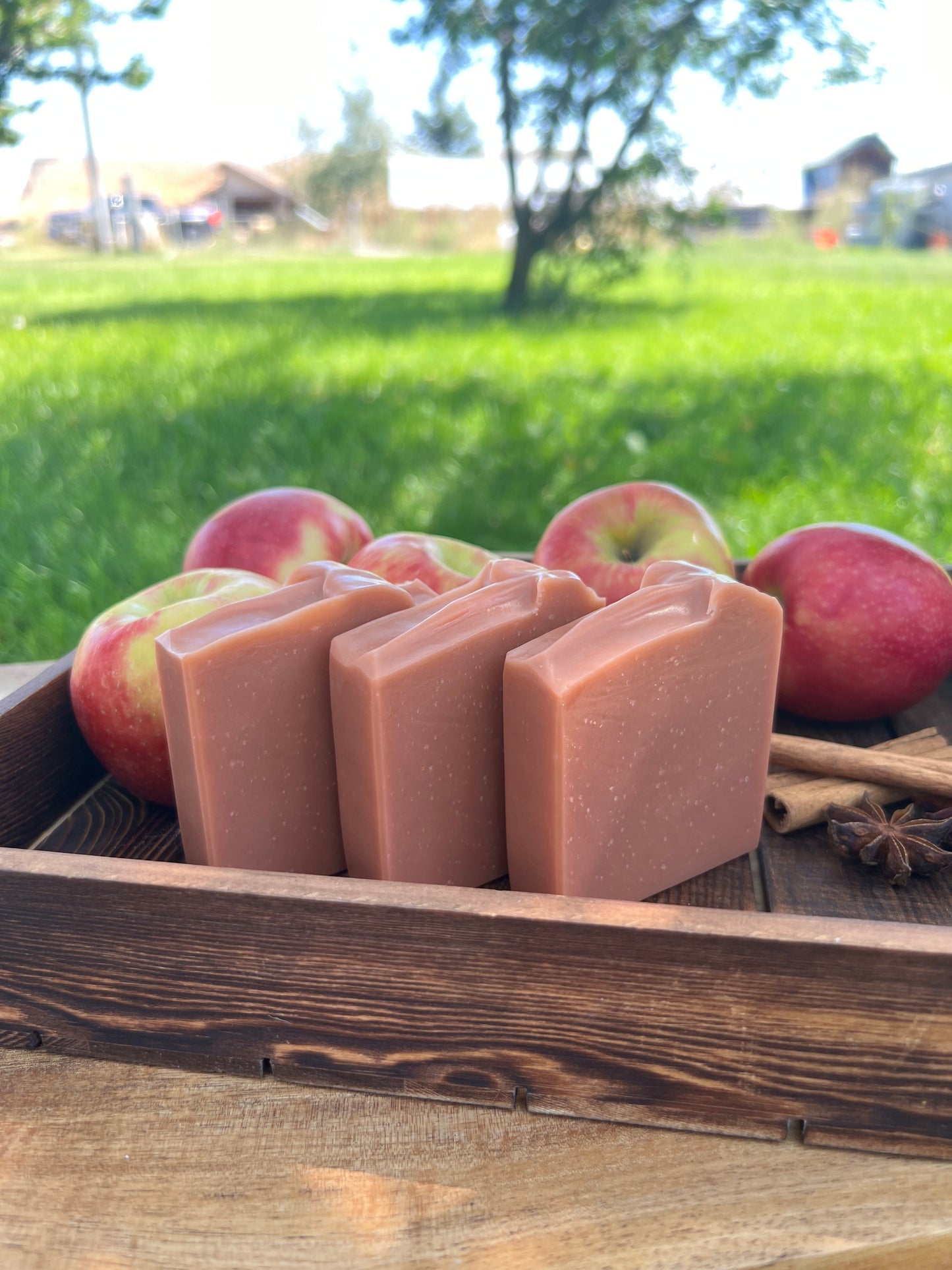 Apple Cider Soap