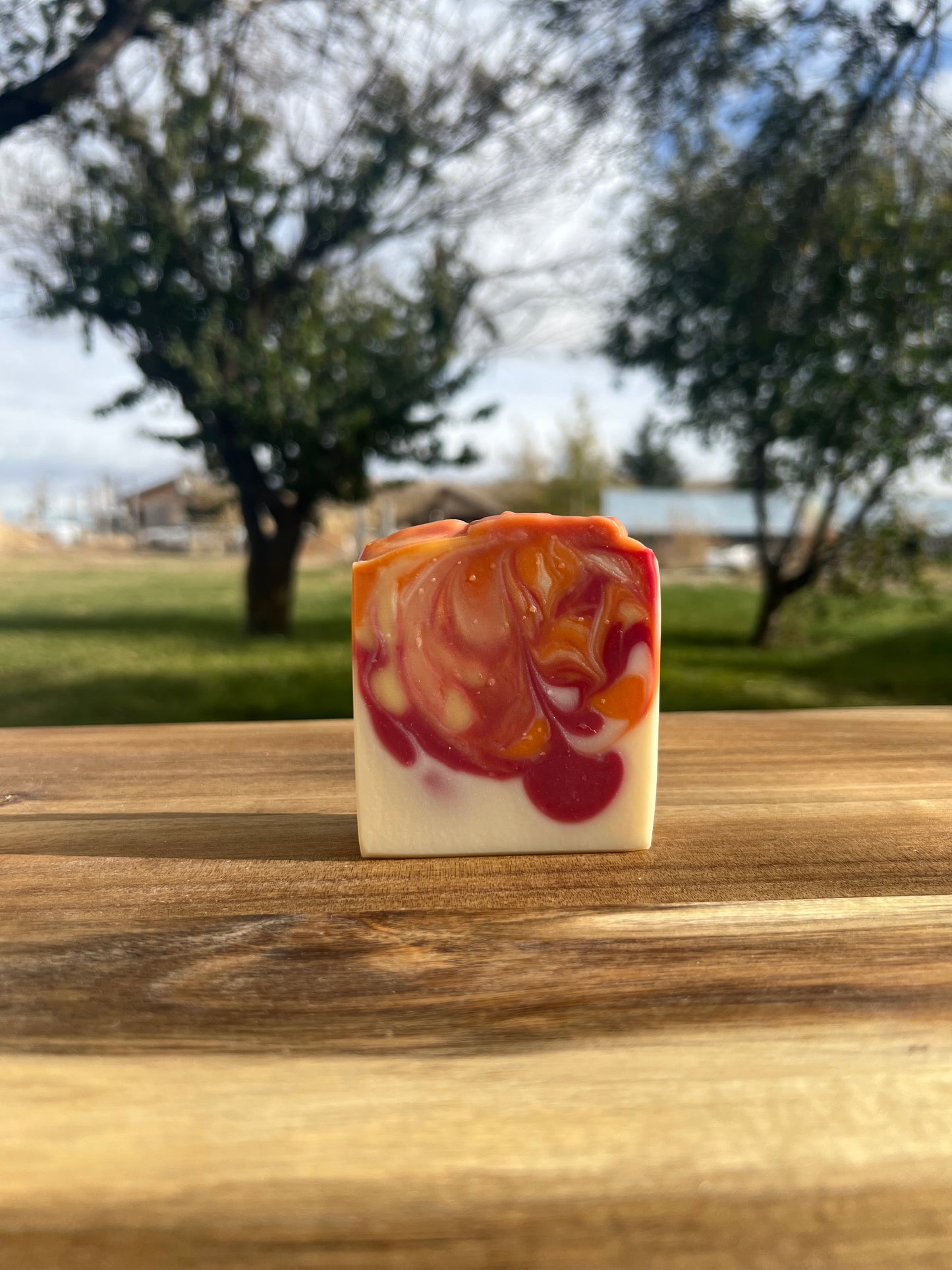 Fall Leaves Soap