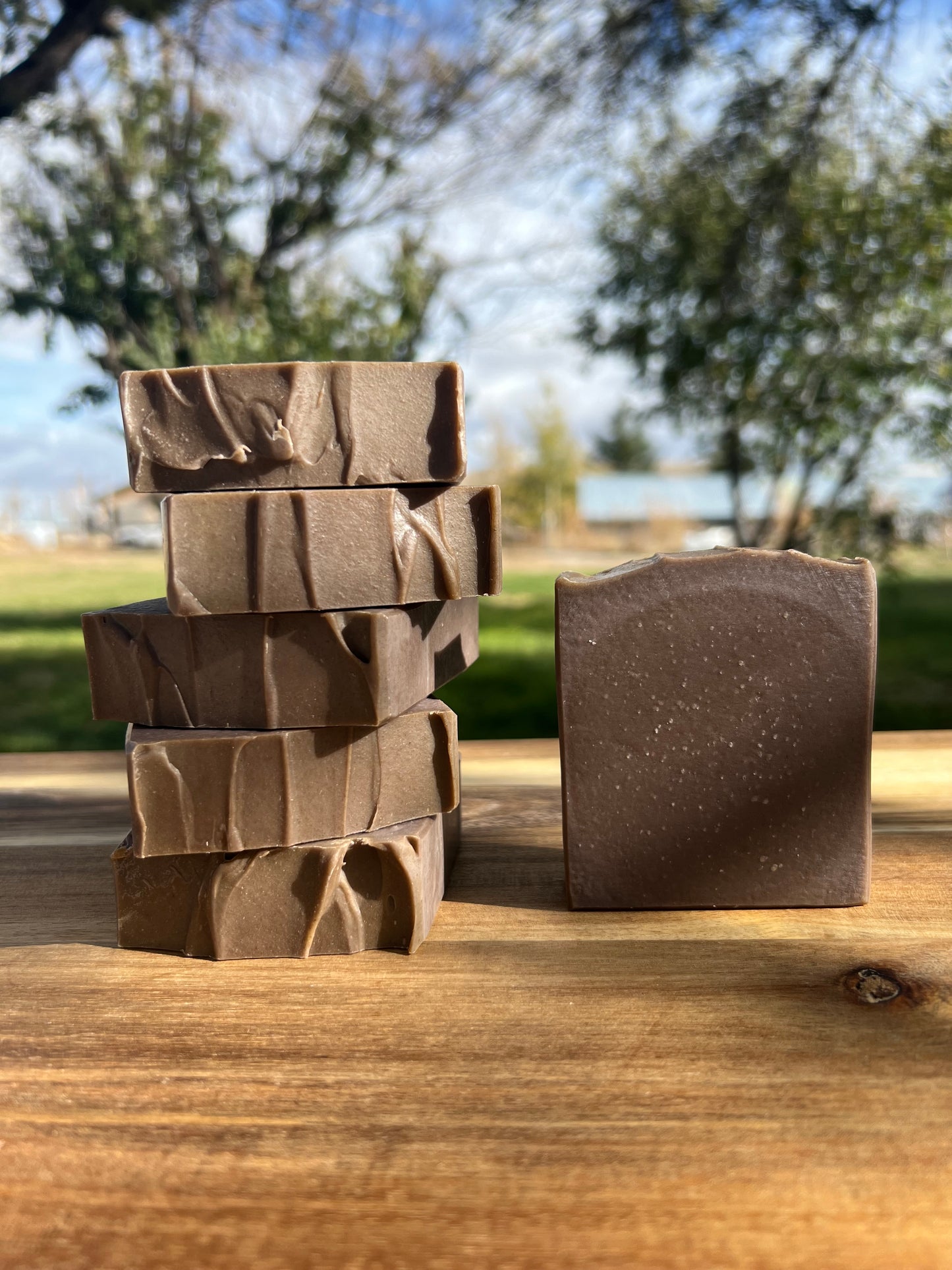 Oak & Clove Soap