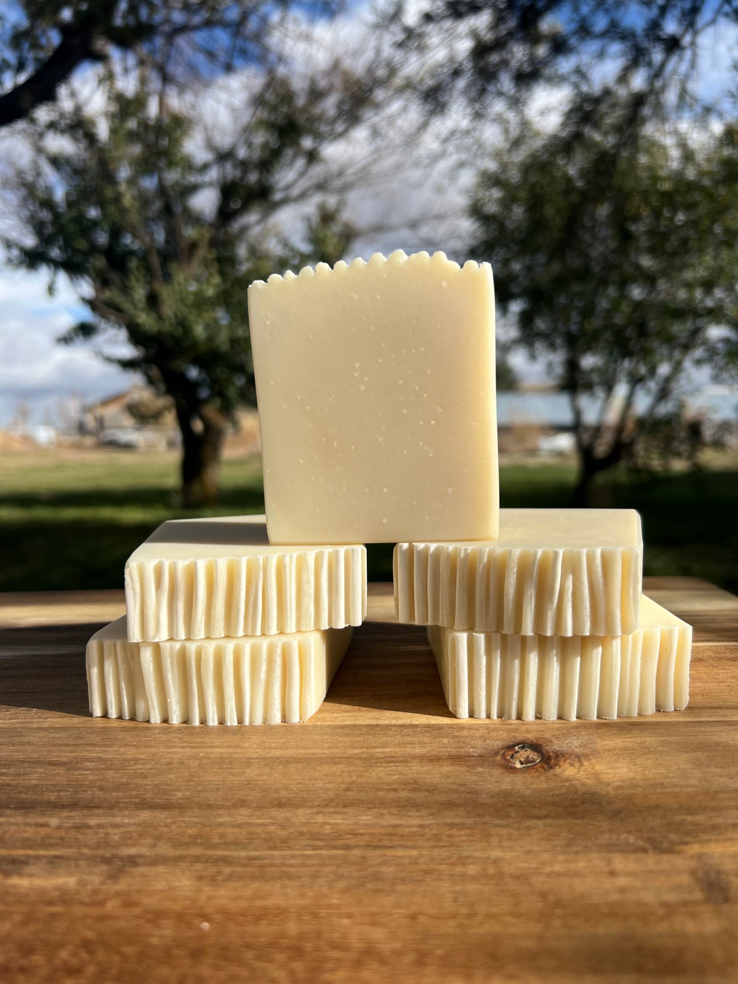 Barbershop Soap