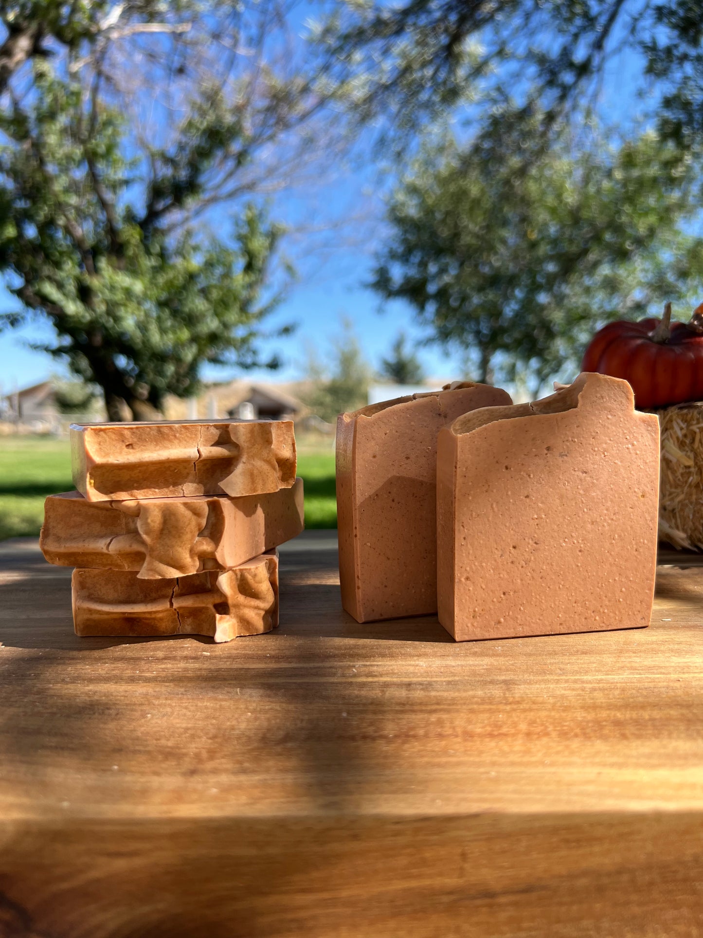 Pumpkin Patch Soap