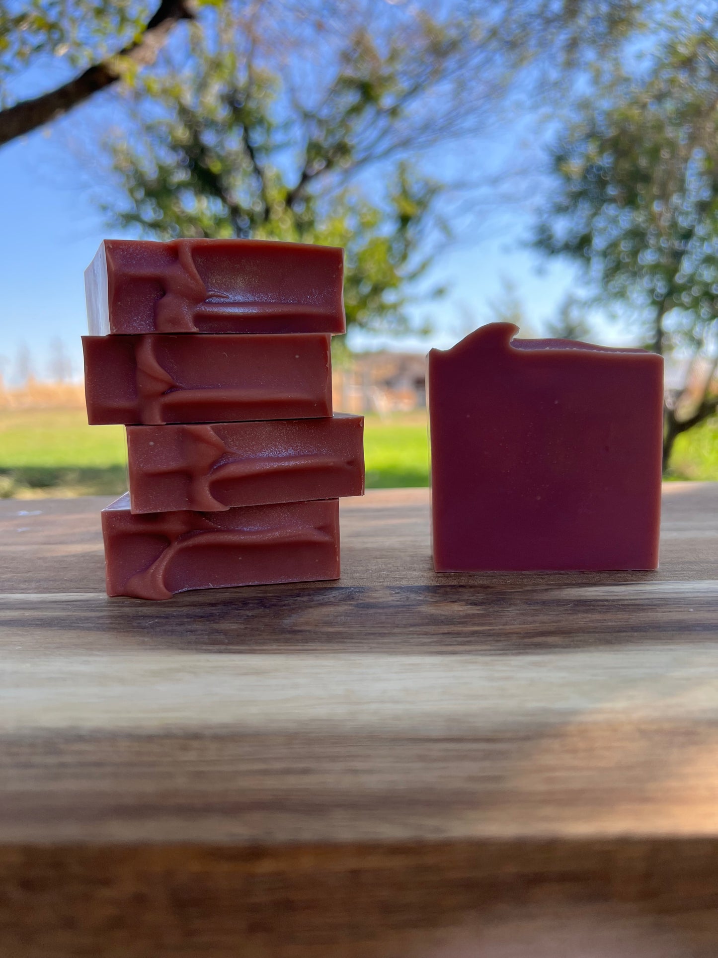 Cranberry Punch Soap