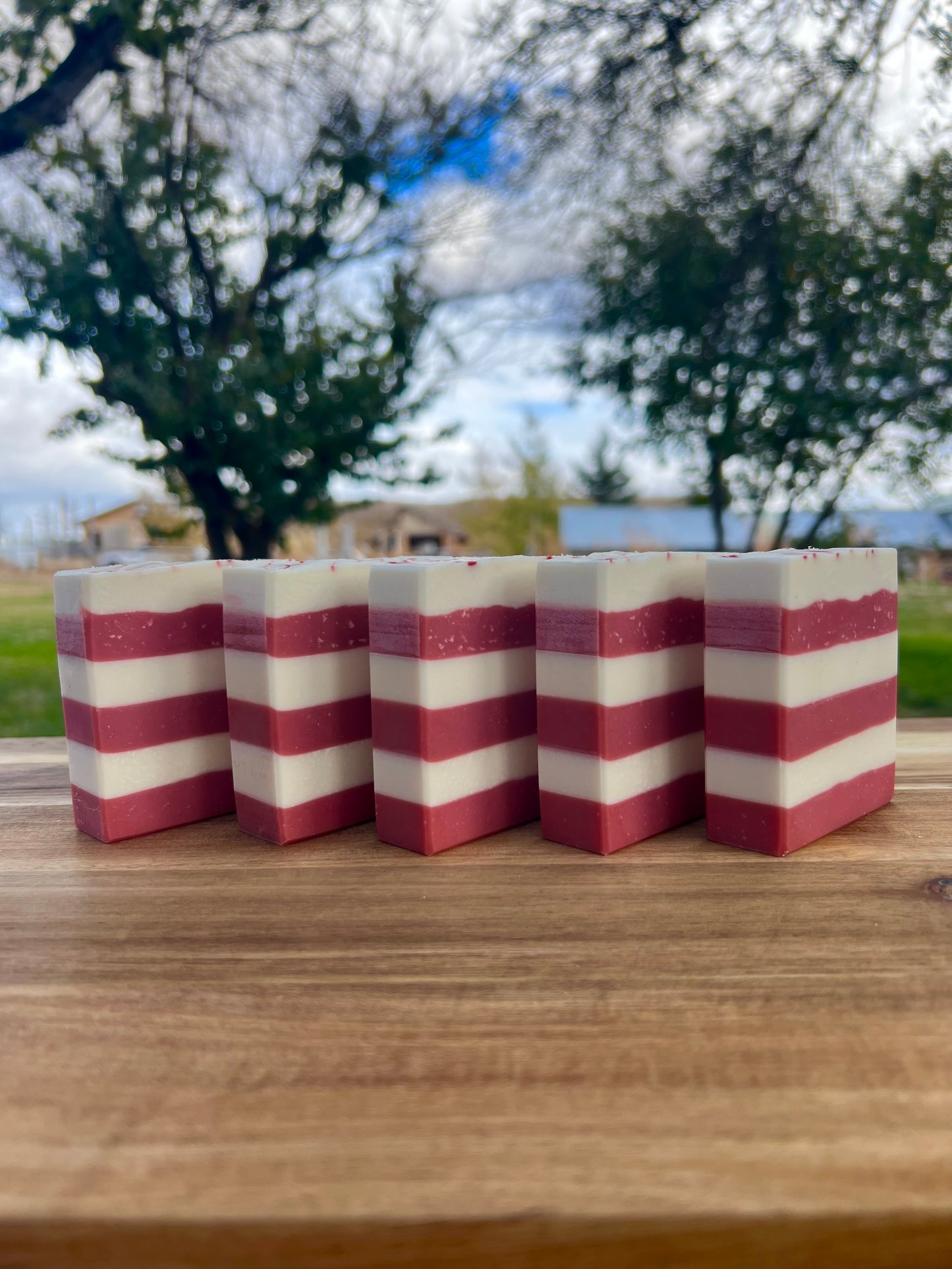 Candy Cane Soap